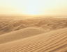 Galerie Atmosphere Desert Sands Wall Mural