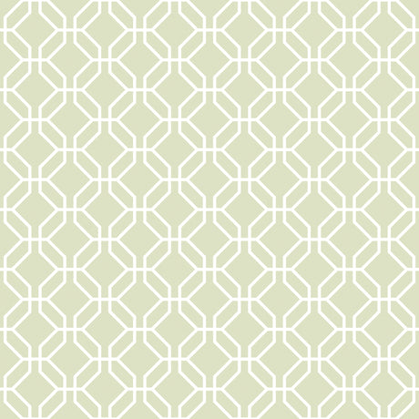 Galerie Secret Garden Trellis Negative Wallpaper