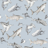 Galerie Kids and Teens Sharks Wallpaper