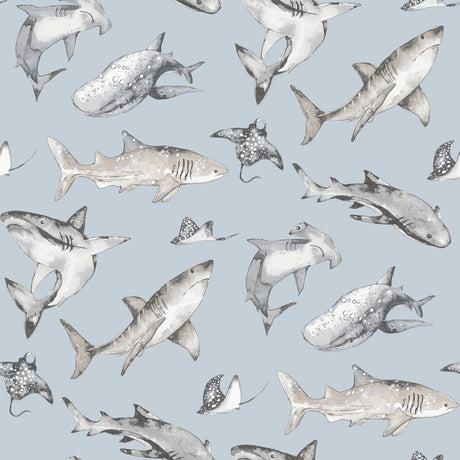 Galerie Kids and Teens Sharks Wallpaper