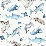 Galerie Kids and Teens Sharks Wallpaper