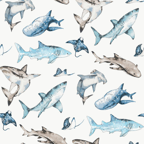 Galerie Kids and Teens Sharks Wallpaper