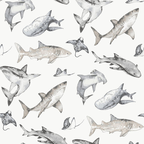 Galerie Kids and Teens Sharks Wallpaper
