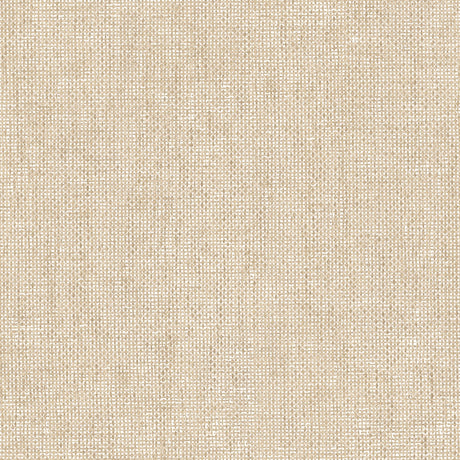 Galerie Italian Textures 4 Plain Texture Wallpaper