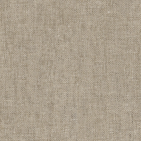 Galerie Italian Textures 4 Plain Texture Wallpaper