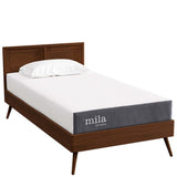 Mila 8" Queen Mattress