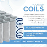 12” EcoCore Hybrid Deluxe - Medium Plush Mattress | Cooling Gel Comfort