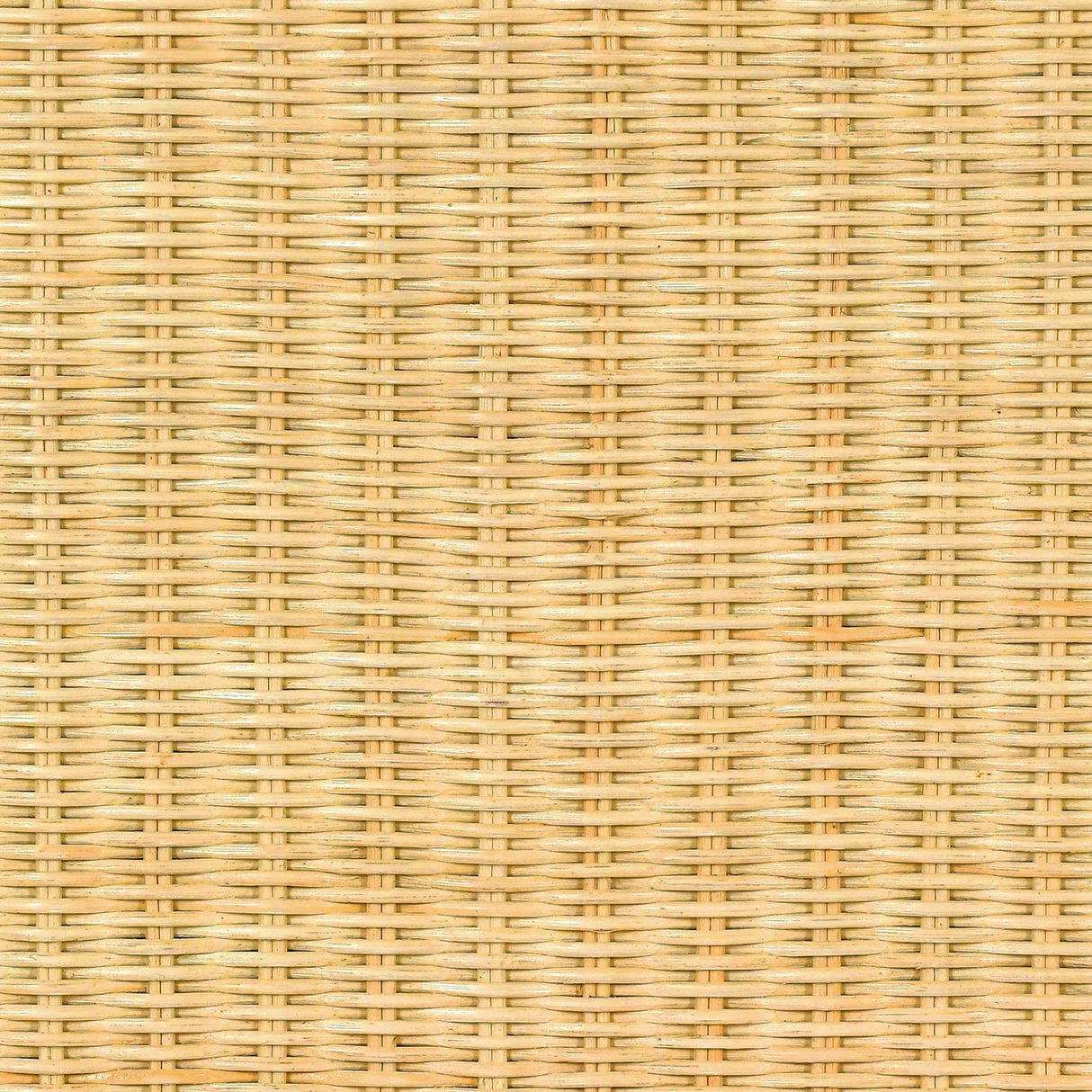 Pentra 25" Natural Rattan Nightstand With Drawer