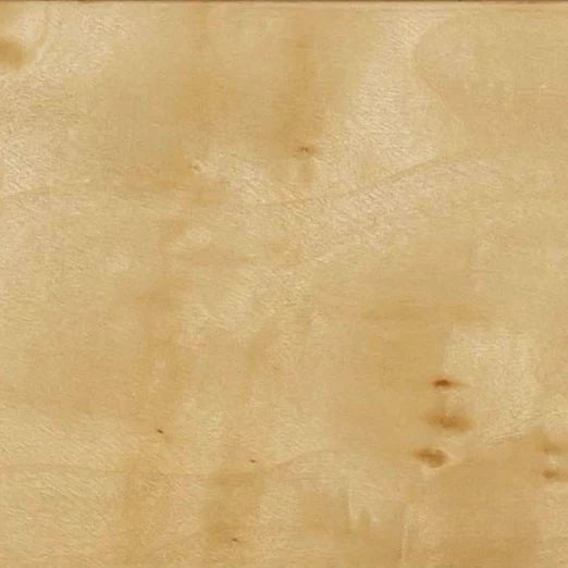 Brandyss Natural Burl Nightstand