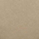 Odessa Taupe Vegan Leather Dining Chair