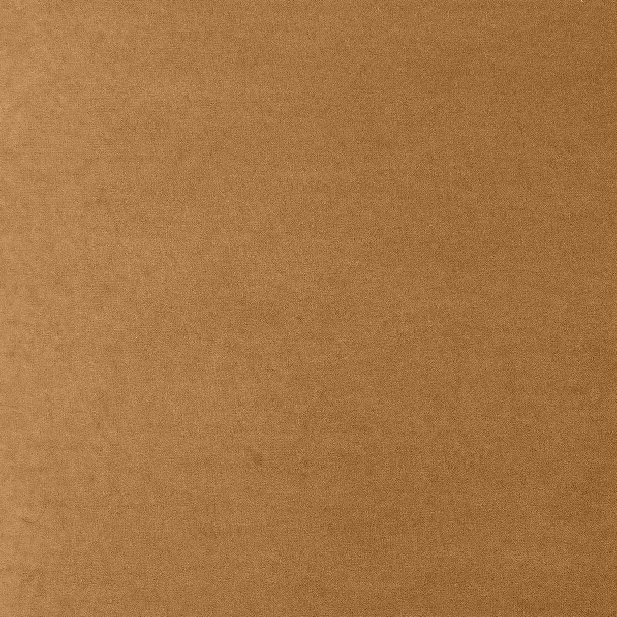 Tiara Performance Velvet and Oak Dining Chair