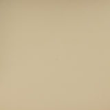 Betsy Taupe Vegan Leather Dining Chair