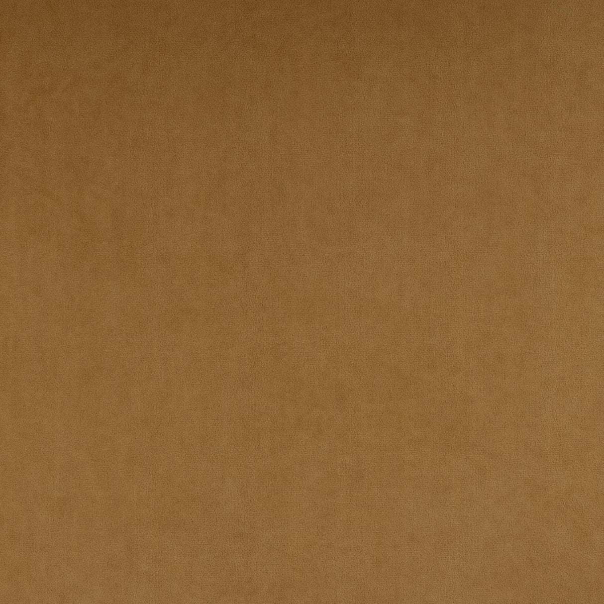 Calla Performance Velvet Dining Chair