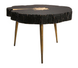 Timber 28" Black and Brass Coffee Table
