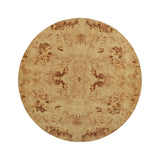 Fig 36" Natural Burl Drum Round Coffee Table
