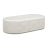 Suraya 55" Indoor/Outdoor Concrete Rounded Coffee Table - View 1