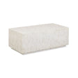 Earl 48" Shell Rectangular Coffee Table - View 2