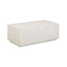 Earl 48" Shell Rectangular Coffee Table - View 1