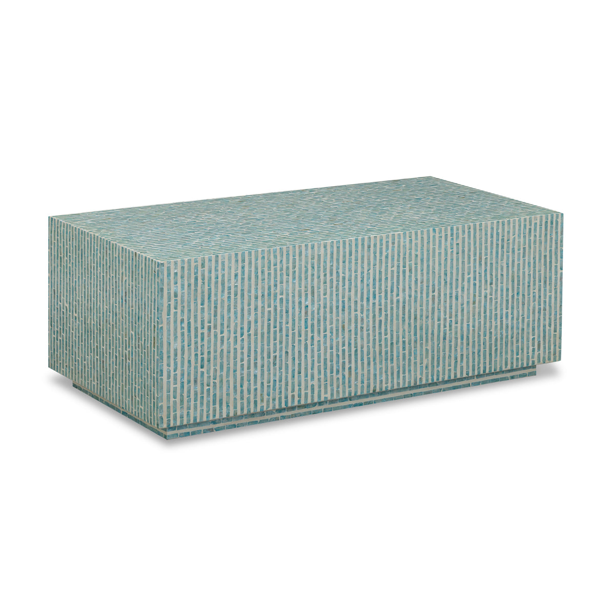 Earl 48" Shell Rectangular Coffee Table - View 8