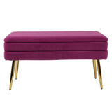 Ziva 31" Velvet Storage Bench