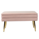 Ziva 31" Velvet Storage Bench