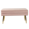 Ziva 31" Velvet Storage Bench