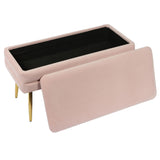 Ziva 31" Velvet Storage Bench