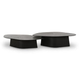 Roche 2-Piece Ash Nesting Coffee Table Set