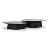 Roche 2-Piece Ash Nesting Coffee Table Set