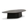 Roche 50" Ash Low Coffee Table