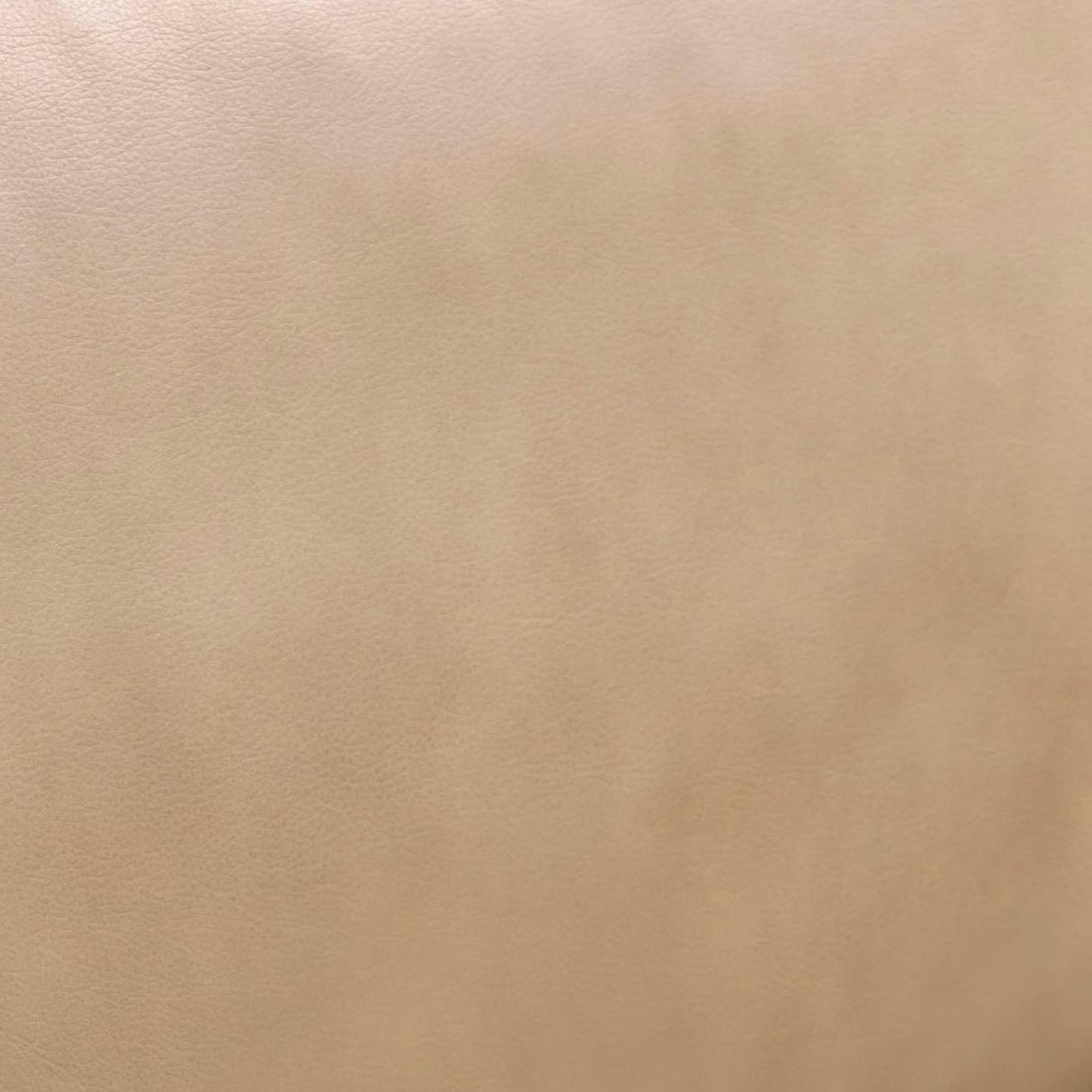 Chakka Genuine Leather Accent Chair