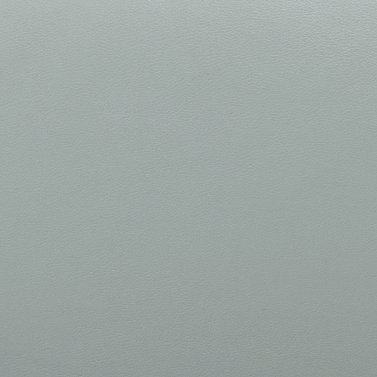 Chakka Genuine Leather Accent Chair