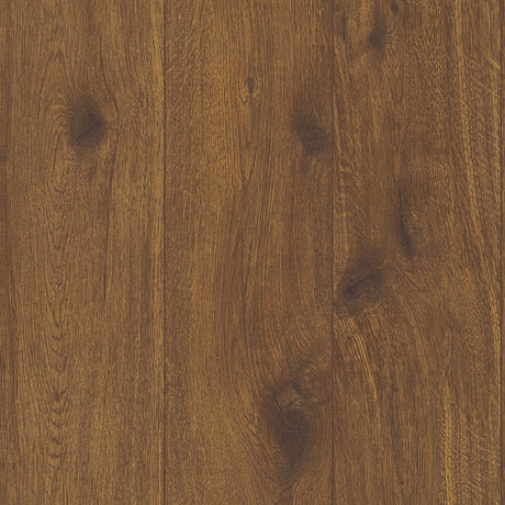 Galerie The Woods and Wicker Forest Wood Effect Motif Wallpaper