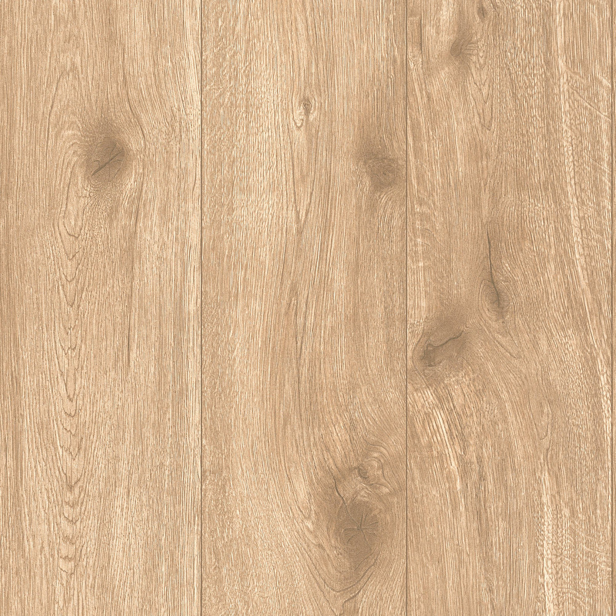 Galerie The Woods and Wicker Forest Wood Effect Motif Wallpaper