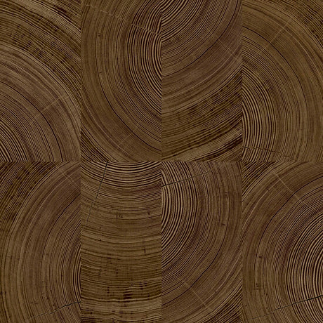 Galerie Karuna Photographic Motive Wallpaper