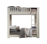 Cedro Twin over Twin Bunk Bed