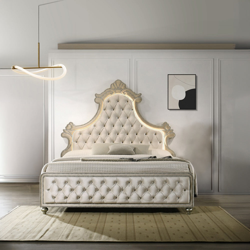 Lucienne Tufted Velvet Bedroom Collection
