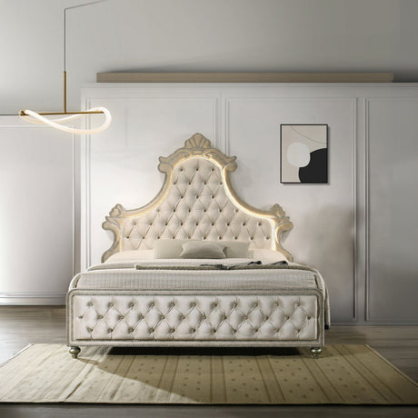 Lucienne Tufted Velvet Bedroom Collection