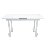 Palton Extendable Dining Table