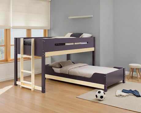 Nestor Twin over Twin Bunk Bed - Mauve/Oak