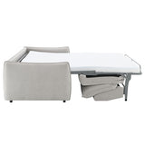 Jinn 2-in-1 Convertible Sleeper Sofa