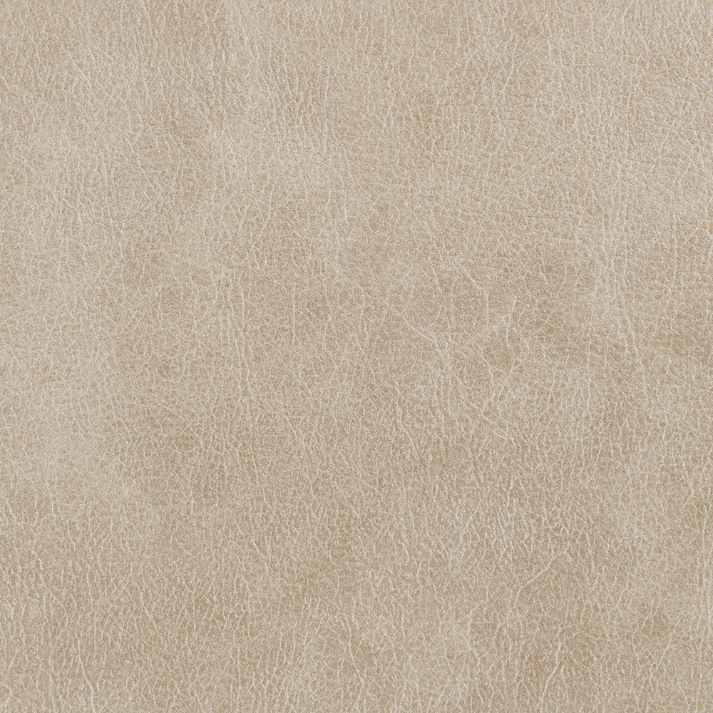 Elison Motion Living Room Collection