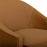 Cettie Performance Velvet Accent Chair - View 19