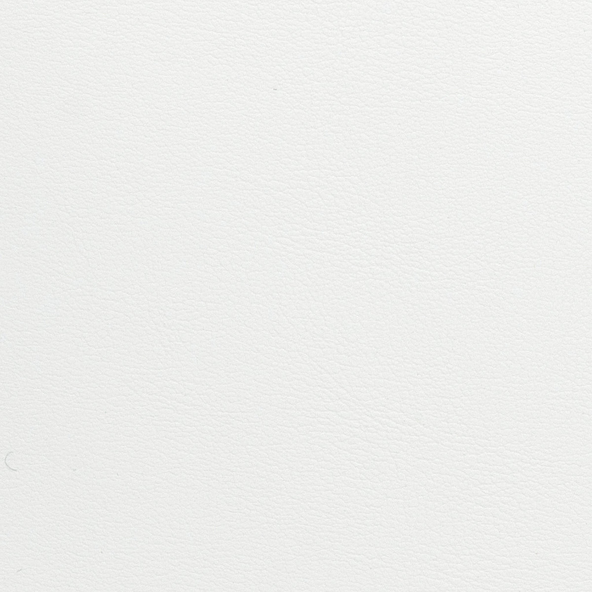 Rear perspective of the Pensel Dining Chair displaying seamless welded joint craftsmanship
