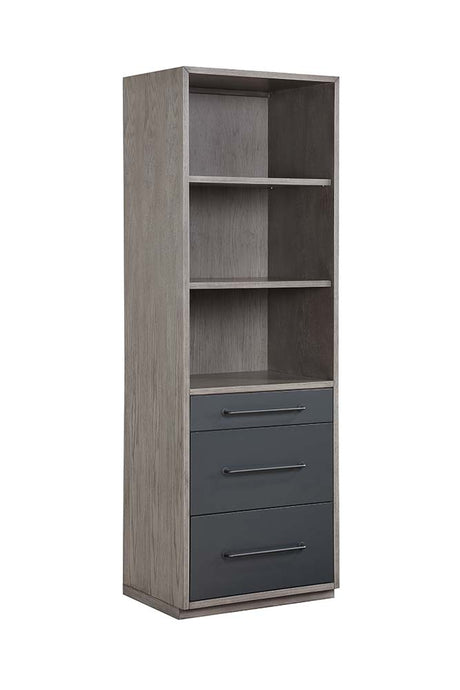 Estevon Writing Desk & Bookcase