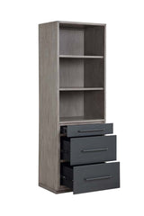 Estevon Writing Desk & Bookcase