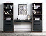 Estevon Writing Desk & Bookcase
